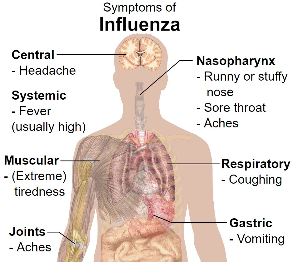 Flu season is here